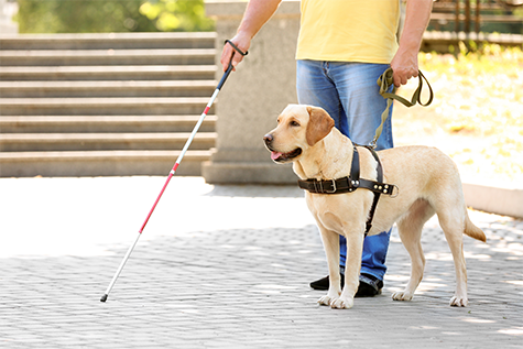 Individuals with Disabilities