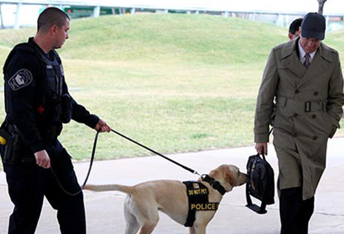 Law Enforcement and Security