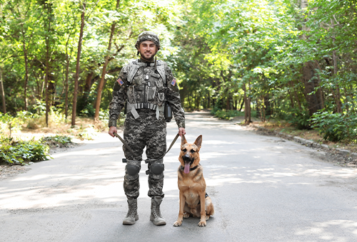 Military Community and Family Support
